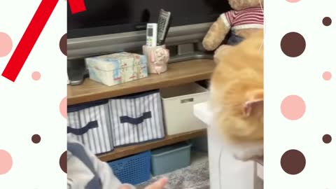 【First Contact】A cat trying to kiss a baby