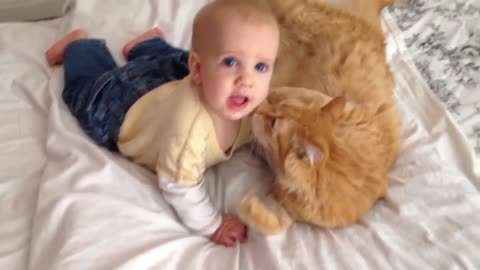 Cat and the baby