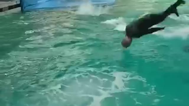 How to swim with shack