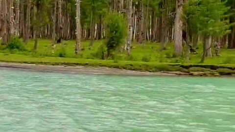 Mahodand lake, Kalam