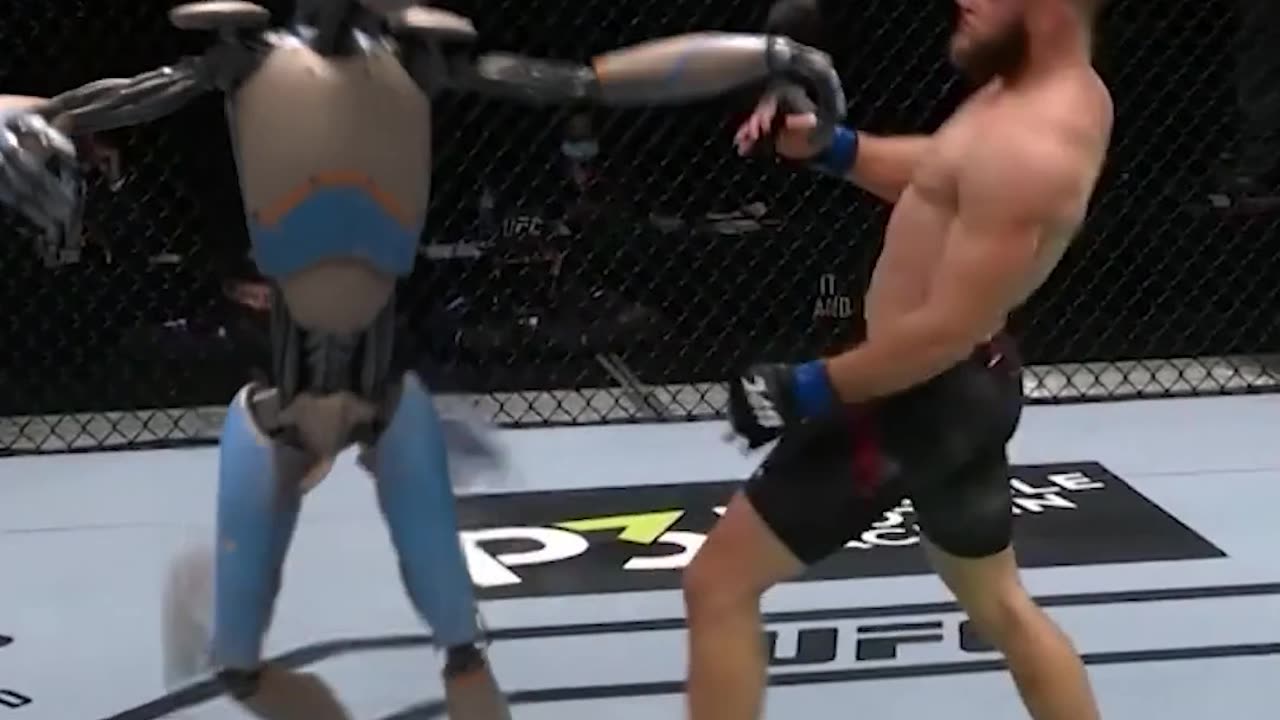 AI Robots vs UFC 🔥