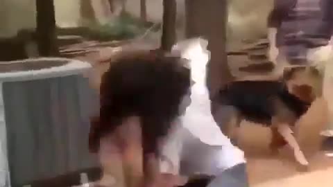 Solid Girl Fight