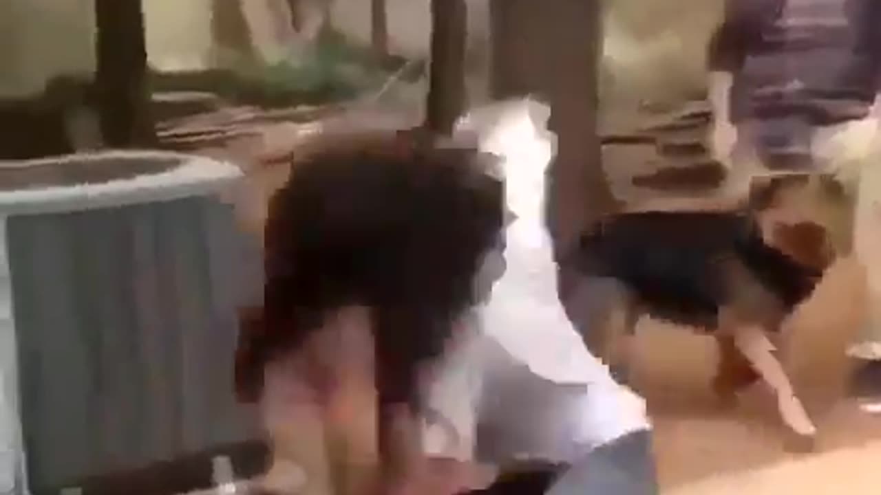 Solid Girl Fight