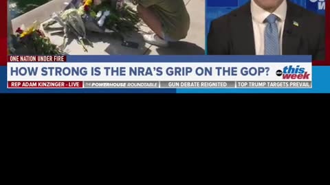 #GOP Rep.Adam #Kinzinger tells ABC's Jon Karl the#NRA is a...