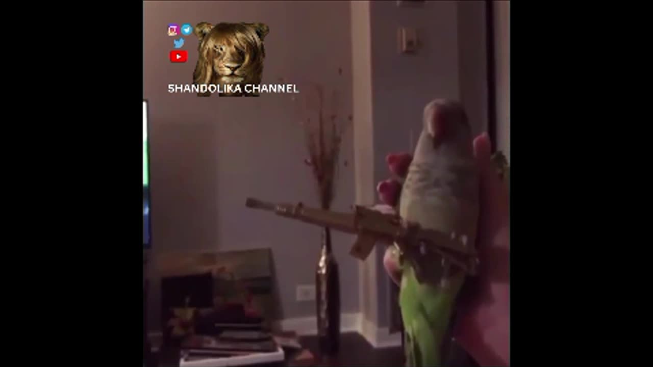 خخخخخ 🤣👍