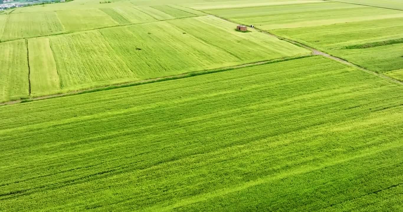 Countryside field