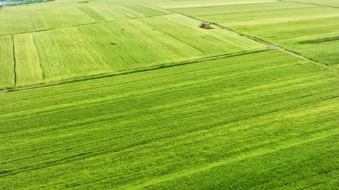 Countryside field