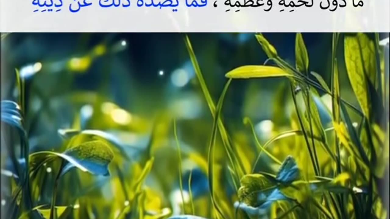 سبحان_الله #الحمد_لله #لا_إله_إلا_الله #الله_أكبر #لا_حول_ولا_قوة_إلا_بالله Reel