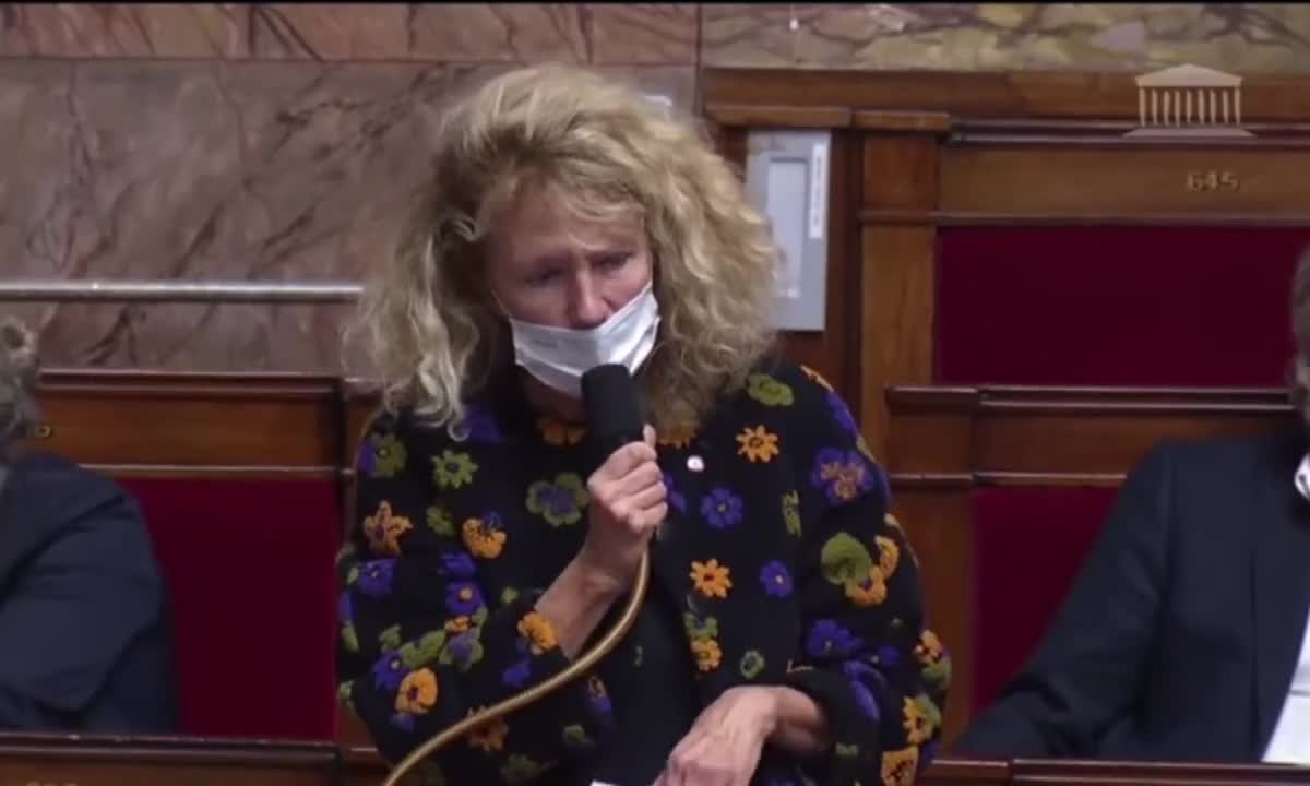 La députée Martine Wonner alerte sur les chiffres des effets secondaires dus à la vaccination