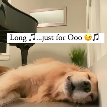 dog. Sleep. Sing at the end of the week.