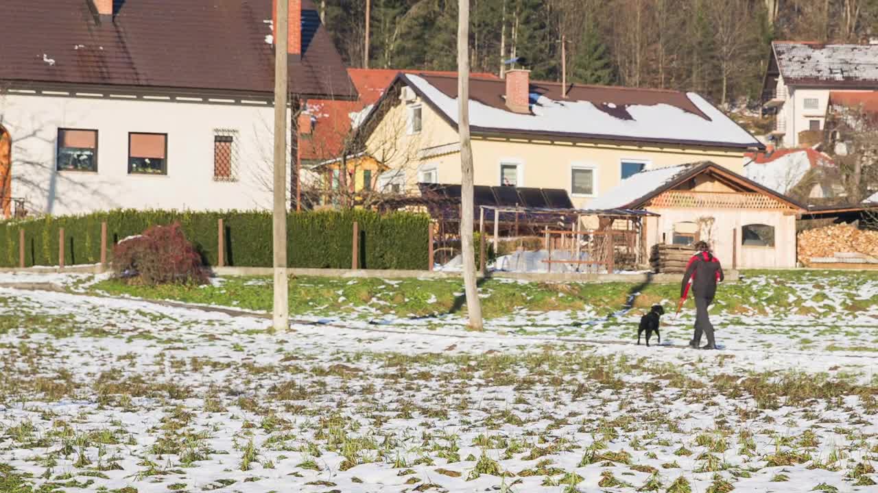 Taking dog out while on smartphone