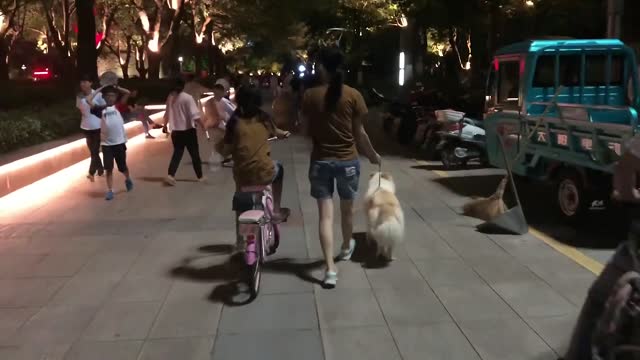 splashed by water park rideNewfies love getting