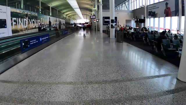 Toronto Pearson Airport Delays