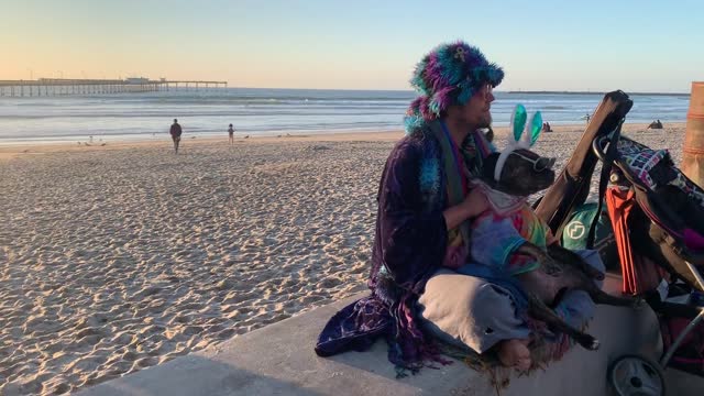 Enjoy playing with the dog on the beach