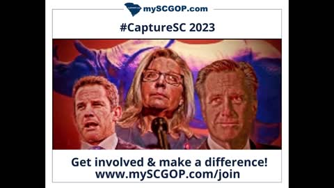 2022-09-17 - mySCGOP.com - Why get engaged with Precinct ReOrg