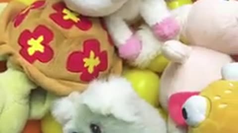 Kitty Unicorn claw machine #shorts #clawmachine #satisfying