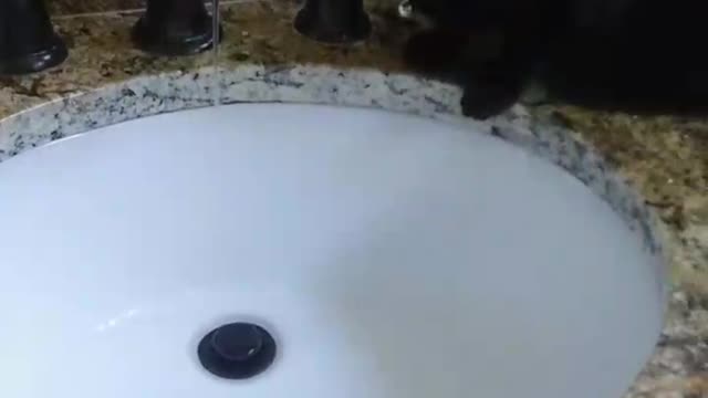 Layla Discovers Water