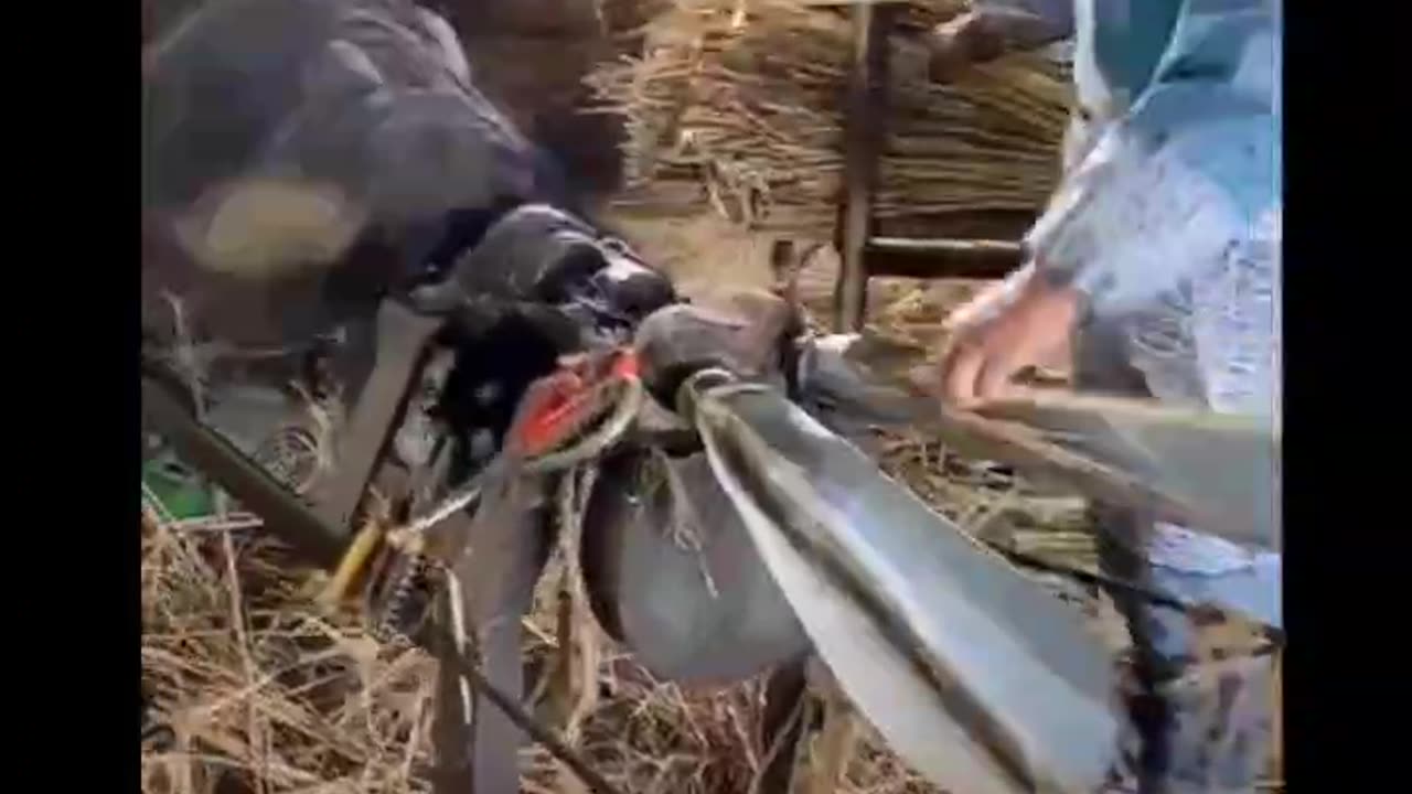 #Traditional methods China
