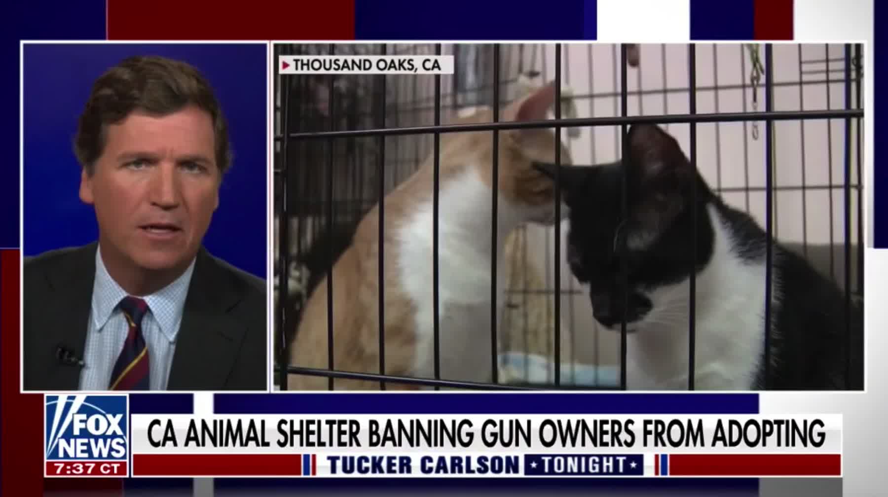 Tucker Carlson reports that an animal shelter in California is banning people from adopting dogs if they don't support gun confiscation