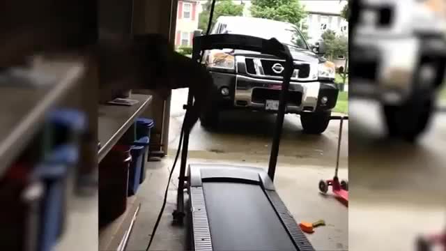 Treadmills epic fails funny