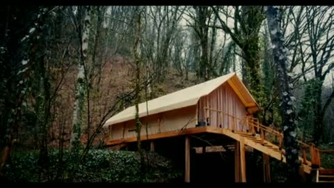 Relaxing Music | Sleeping, Meditation, Stress Relief | [1495] ⭐️