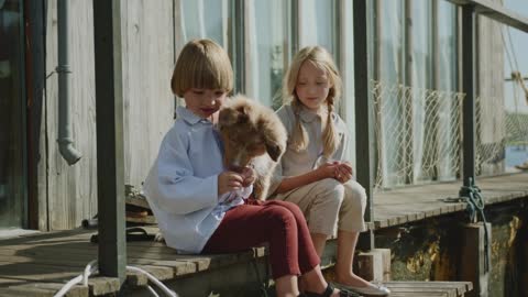 Boy Feeding a Dog