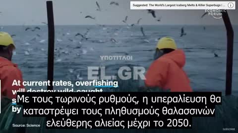 Το Παγκόσμιο Οικονομικό Φόρουμ λέει ότι πρέπει να τρώμε κρέας εργαστηρίου ή εκτυπωμένο για να σώσουμε τον πλανήτη