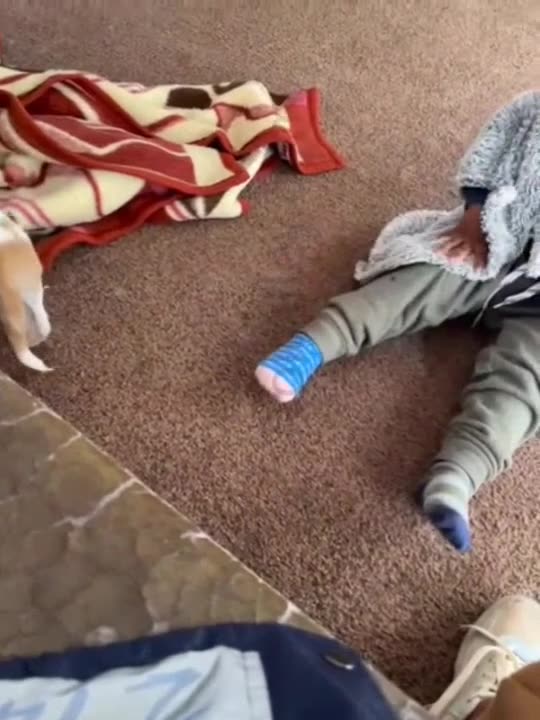 It's genetic. Simple as that!