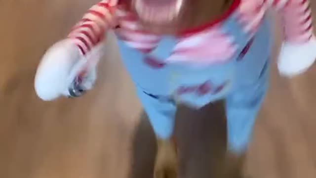 Funny Dogs Videos | Cute Dogs Videos | Try Not To Laugh