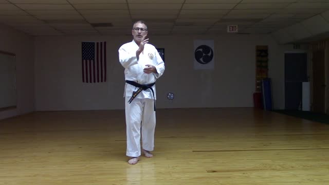 Honto Kata Pinan Shodan