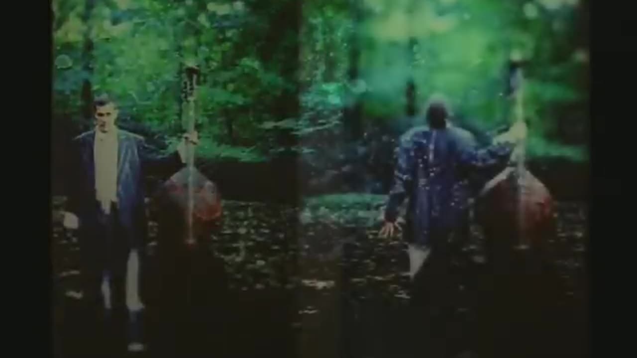 Dave Matthews Band - Crash Into Me (Official Video)