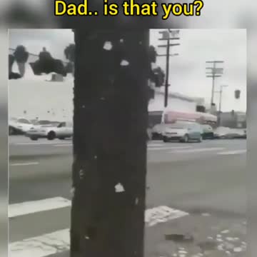 Sting is that you #dog #traffic #tiktok #viral #trending #trend #viral #shorts #comedy