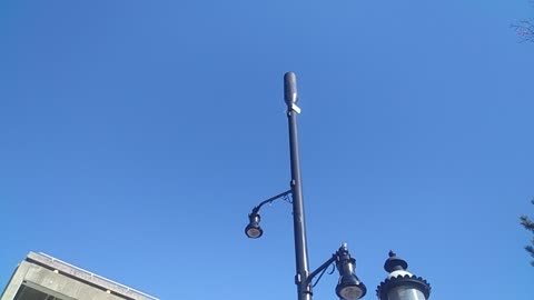 New 5G License Plate Reader in Trenton, N.J.