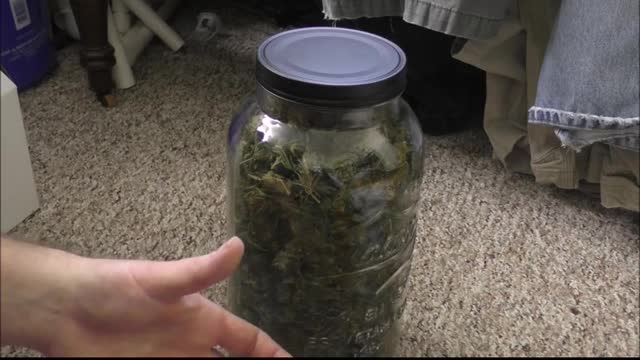 Infusing Honey With Decarbed Cannabis