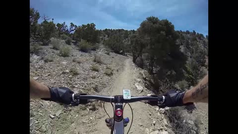 A little mountain biking