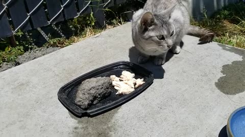 20230701 132733 BirthdayEating