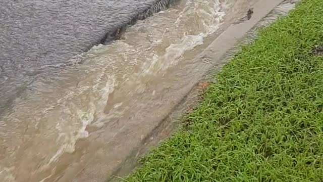 Massive Flooding Causes Sinkholes in Australian Suburb