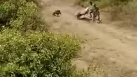 Amazing Nice video