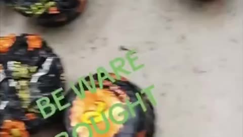 WHATS GOING ON WITH WALMART’S CANDY?