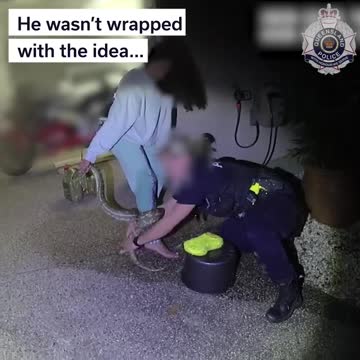 Woman rescued after carpet python wraps itself around her leg