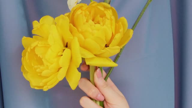 a-person-holding-a-bouquet-of-flowers-