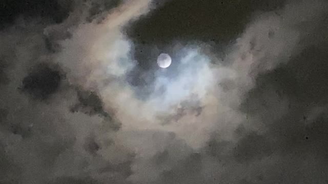 11.17.21 Cool Moon Moment with the Family