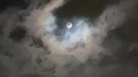 11.17.21 Cool Moon Moment with the Family