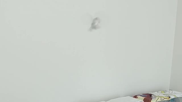 クリッピングしてある、てつが飛んだ(^o^)