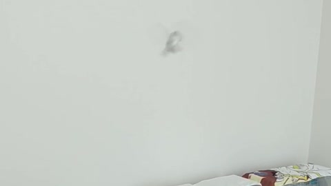 クリッピングしてある、てつが飛んだ(^o^)