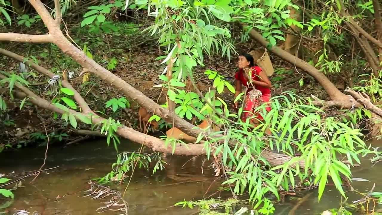 survival in forest - woman find duck Cook food for dog - duck recipe &amp; Cooking life TV