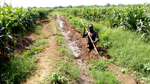 How to poor disable people doing irrigation