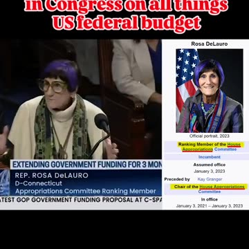 This Nancy Pelosi ally is the most powerful Democrat in Congress on all things US federal budget