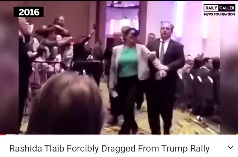 Rashida Talib Forcibly Dragged From Trump Rally 2016