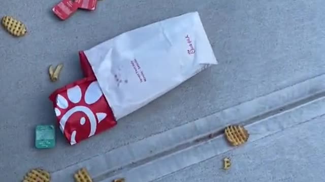 Dude Drops Fast Food in Trying to Save Bee